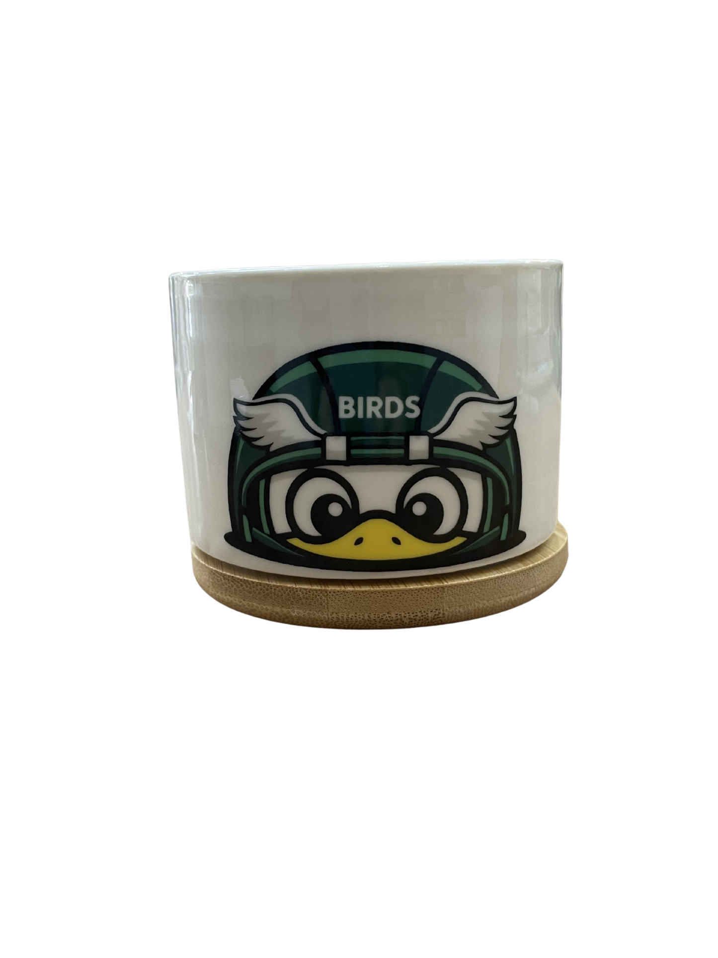 Planter - Philly Mascot