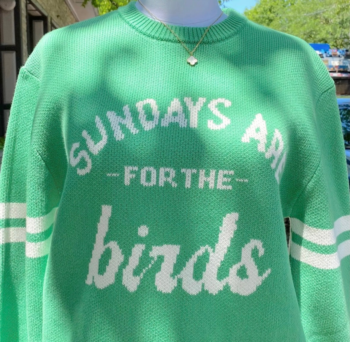 Knit Sweater - Sundays Are For The Birds