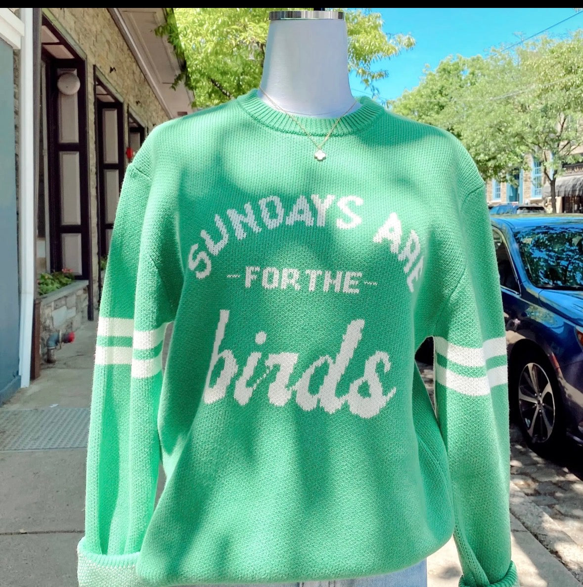 Knit Sweater - Sundays Are For The Birds